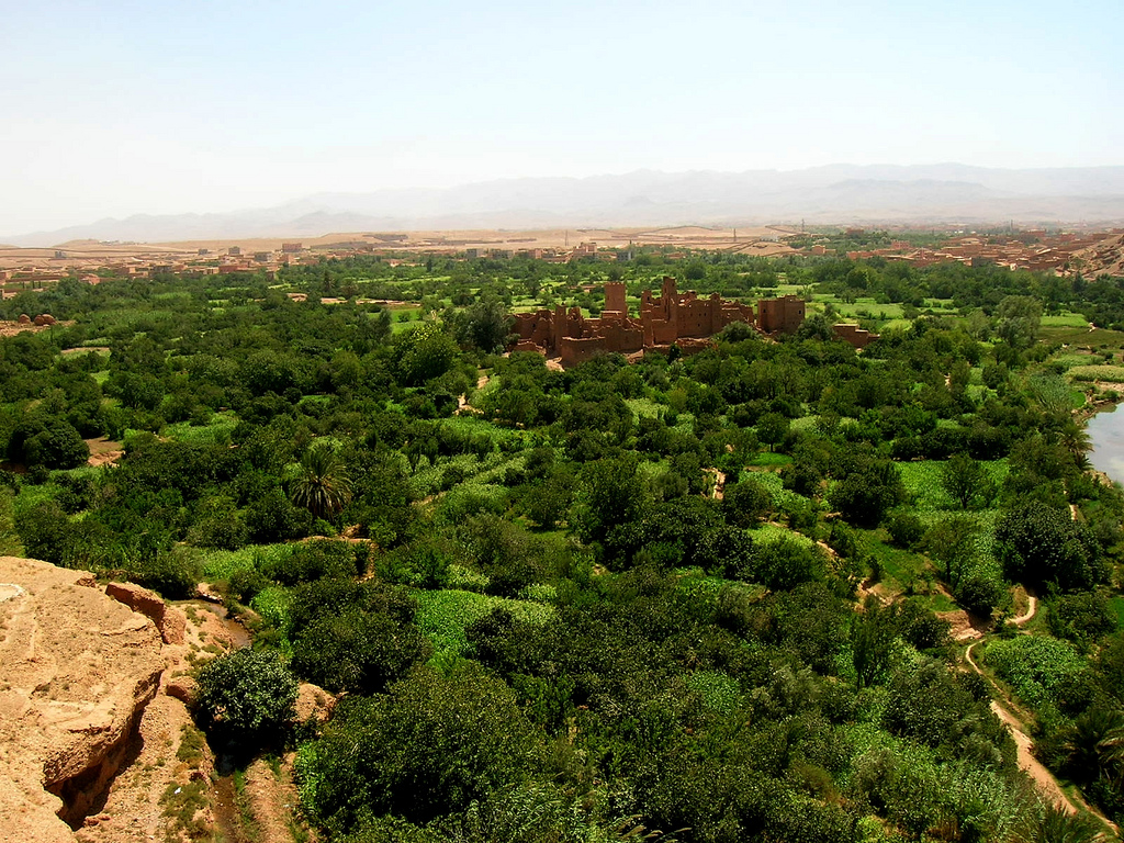 Vallée des Roses, Boutaghrar & M’Goun