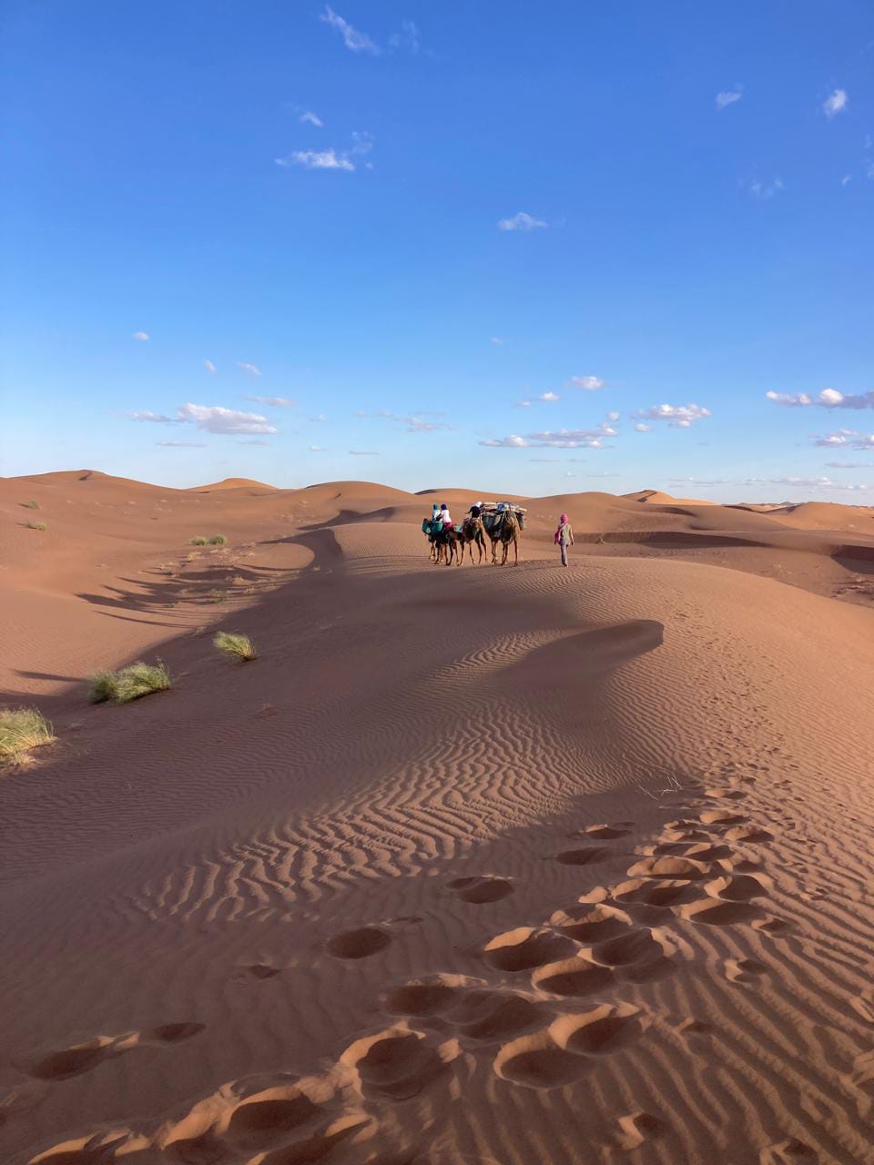 Marrakech à Erg Chigaga : pourquoi choisir un circuit de 4 jours ?